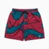BY PARRAMountain Waves Swim Shorts 1 BY PARRAMountain Waves Swim Shorts -Bliss Dream Style Mountain Waves Swim Shorts 20230607070659
