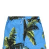 Blue Sky InnPalm Tree Print Swim Trunks - Sky Blue/Multicolor -Bliss Dream Style Palm Tree Print Swim Trunks 20230525013745
